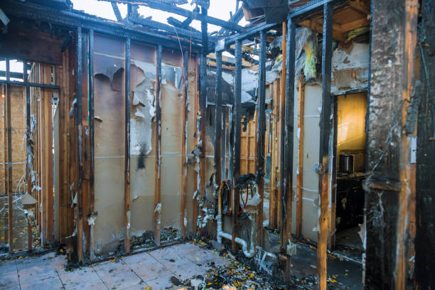 Professional Fire Damage Repair technician working in Webster, TX