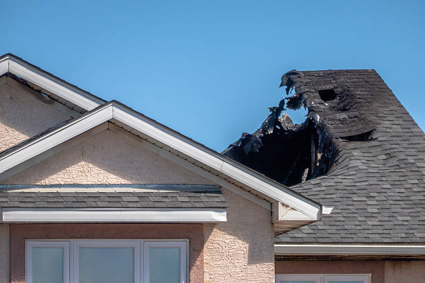 Top rated local Fire Damage Repair specialists in Webster, TX